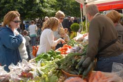 Waterford Harvest Festival